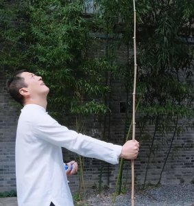 ​李亚鹏和王菲的婚姻（李亚鹏豪掷4亿开民宿）
